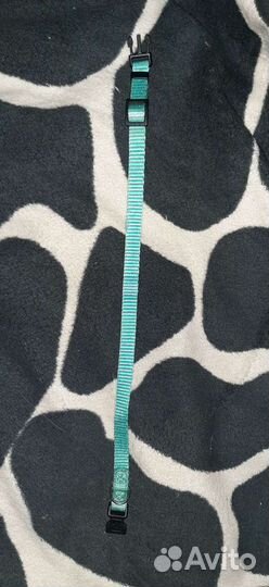 Ошейник для маленькой собаки