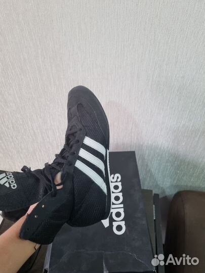 Боксерки adidas box hog 2