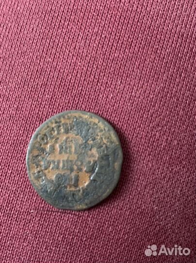 Палушка петровская ювз