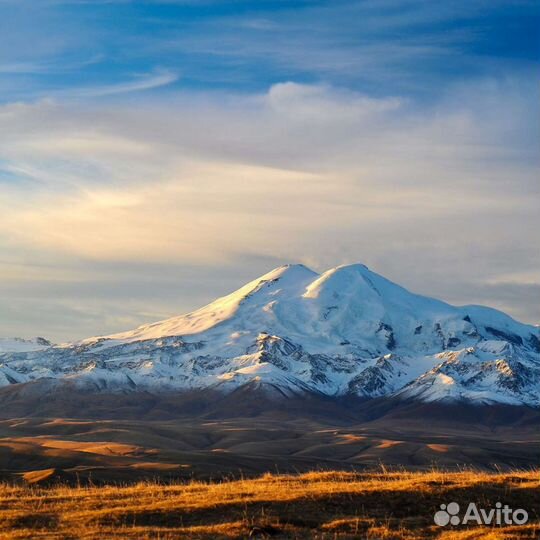 Индивидуальные поездки