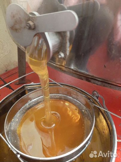 Цветочный мед оптом