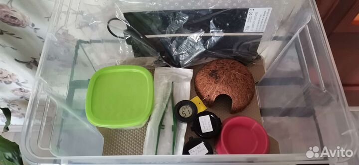 Комплект для содержания эублефара