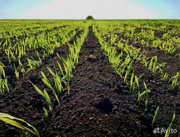 Чернозем садовый, быстро и качественно от 1тонны