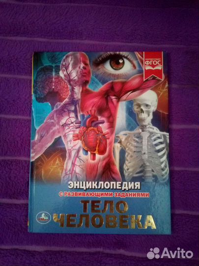 Детская энциклопедия