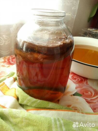 Чайный гриб