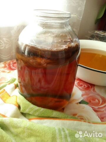 Чайный гриб