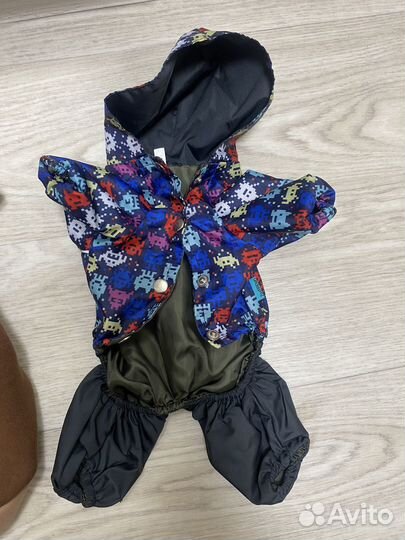 Дождевик и толстовка для собак