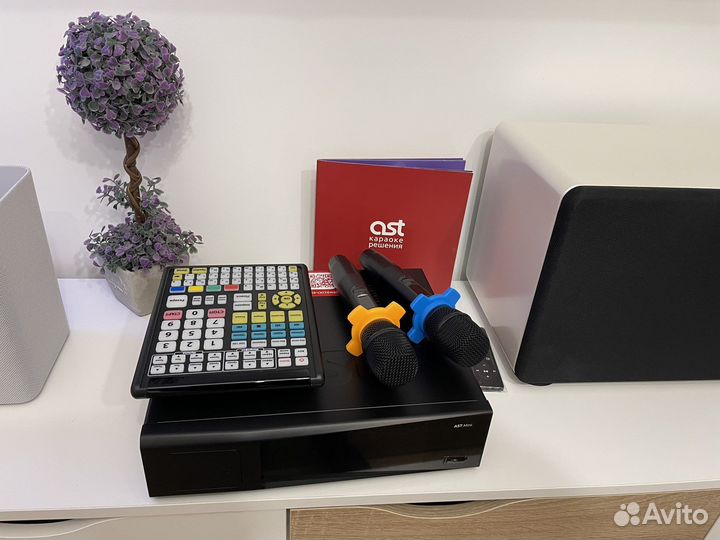 AST MIni + микрофоны + evosound Sphere