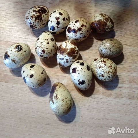 Яйца перепелиные