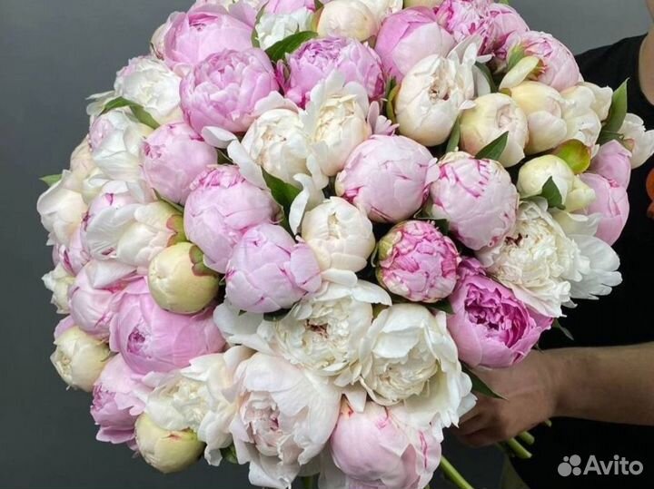 101 роза 60 см мама в шоке