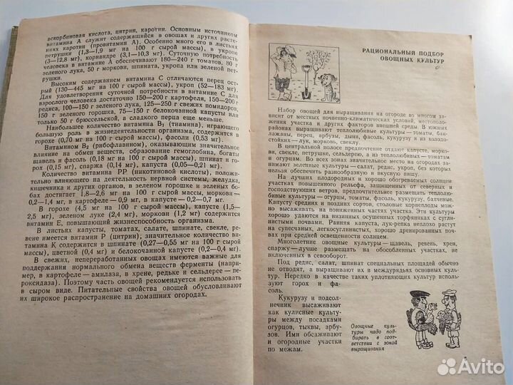 Книга 1982г. Домашний огород