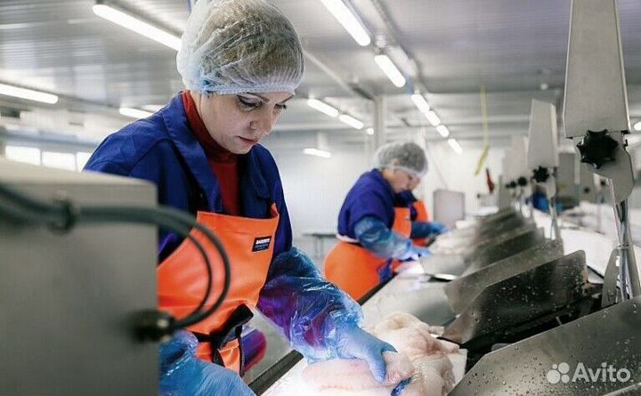 Работа на производстве(Вахта)