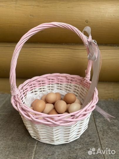 Инкубационные яйца Брама