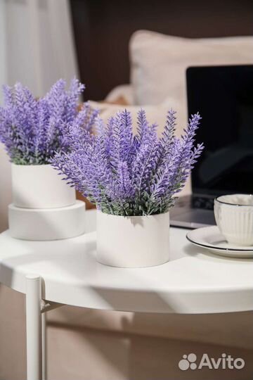 Искусственная лаванда в гипсовом горшке