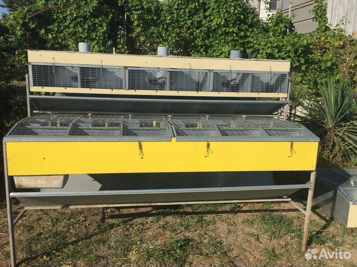 Клетки и кормушки для кроликов