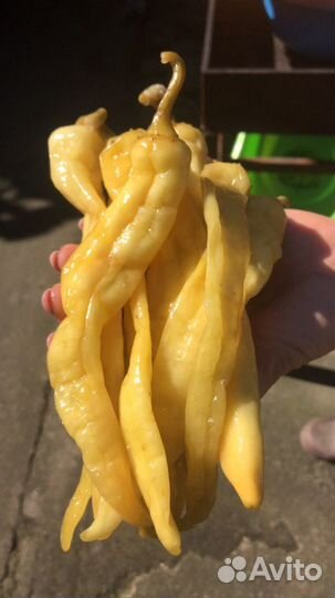 Перец соленый (цицак)