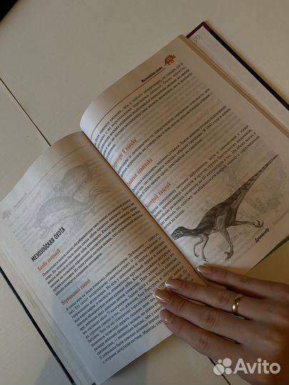 Книги про динозавров