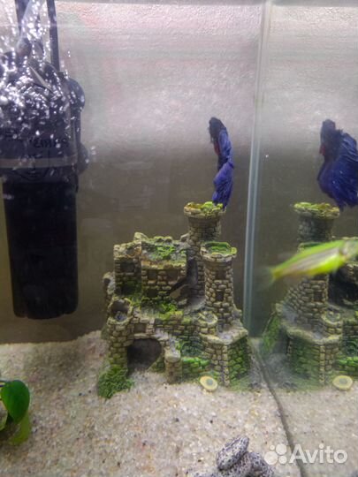 Аквариум на 18лс фильтром