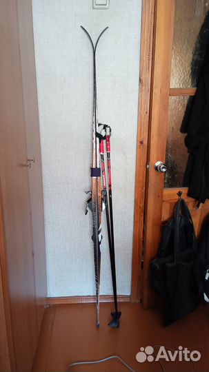 Лыжи беговые