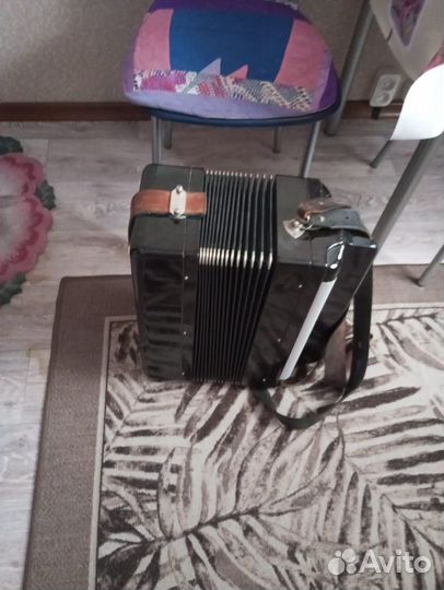 Баян тульский