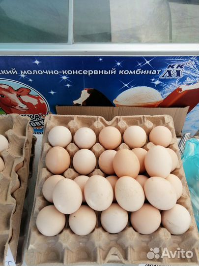 Яйцо куриное
