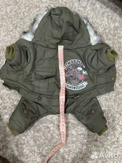 Одежда для собак мелких пород