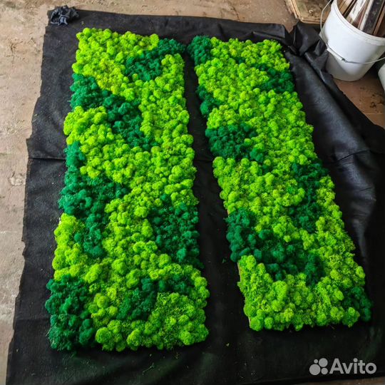 Стены, панно, картины из мха растений. Арт256, от