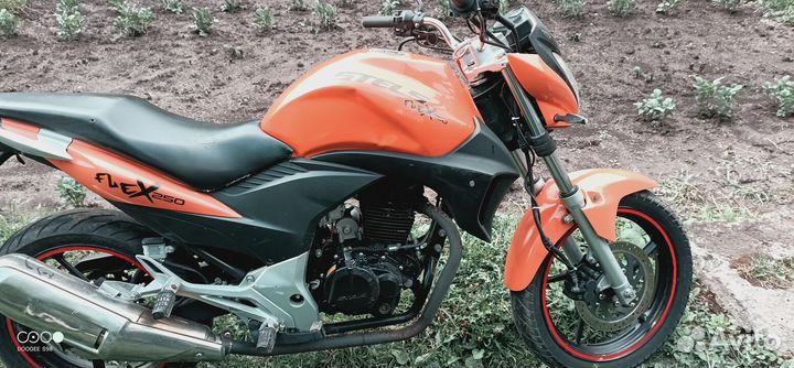 Stels flex 250