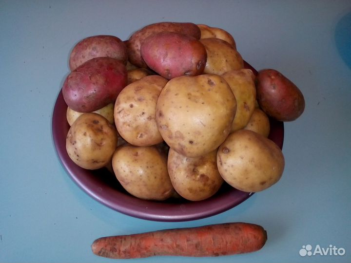 Продам картофель