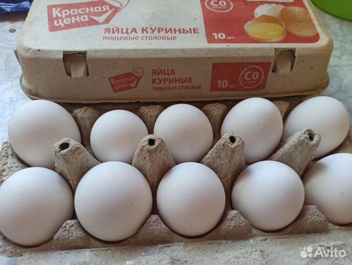 Домашние куриные яйца