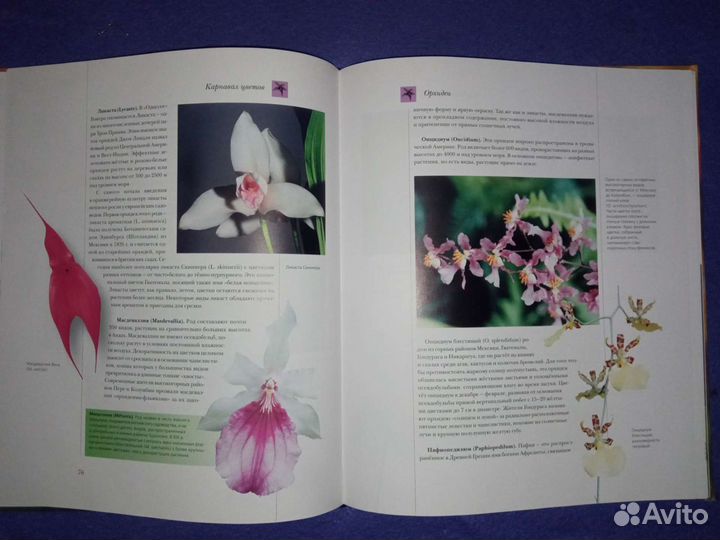 Книга цветы мира