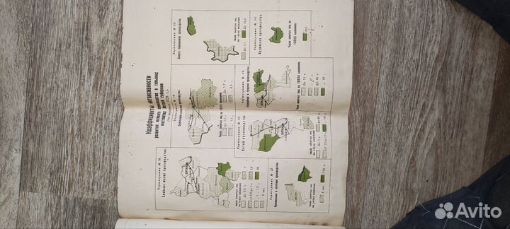 Картограммы 1928 года