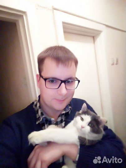 Ветеринарный врач диетолог