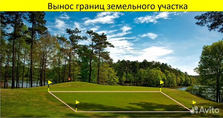 Кадастровый инженер, межевание, дачная амнистия