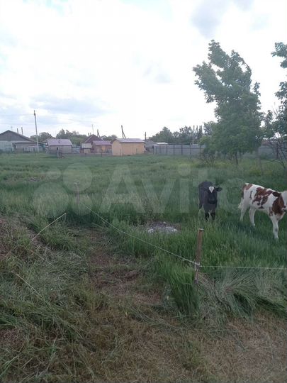 Участок 14 сот. (ИЖС)