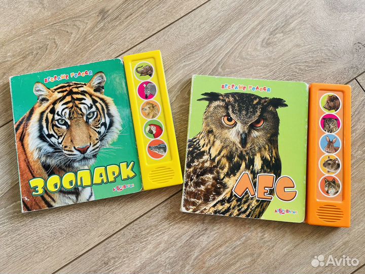 Музыкальные книги