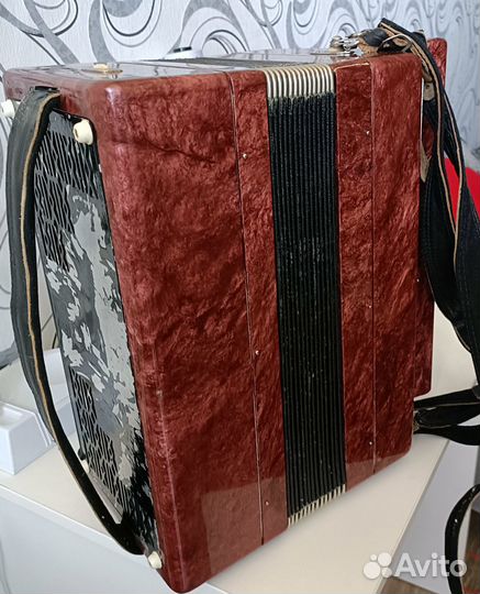 Баян Тула 202