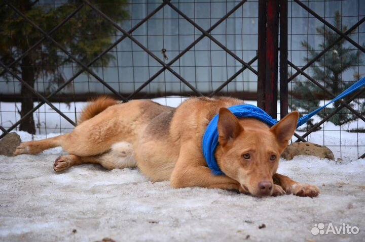 Ну просто нереальный мальчик Огонек