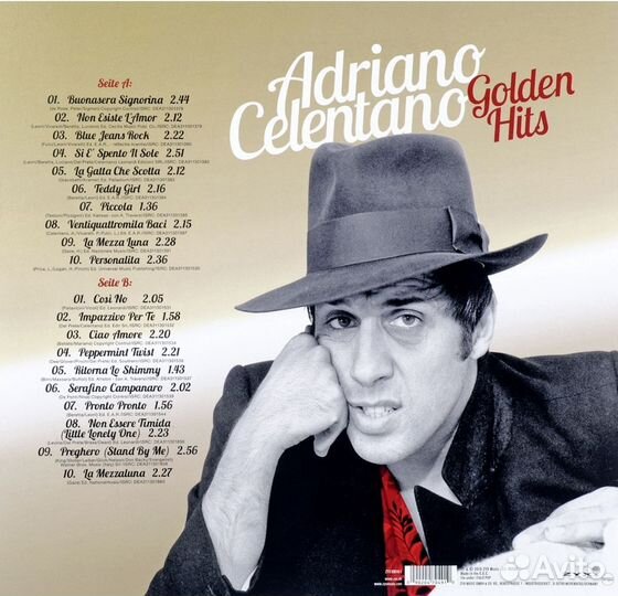 Виниловая пластинка