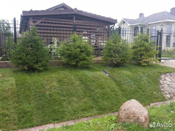 Рулонный газон от производителя