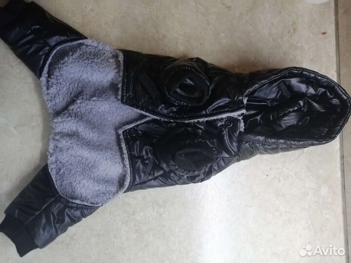 Одежда для маленьких собак