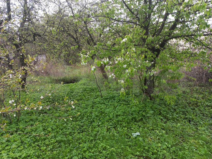 Участок 5 сот. (СНТ, ДНП)