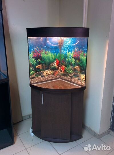 Аквариум 150 угловой полукруглый, тумба, свет, фон