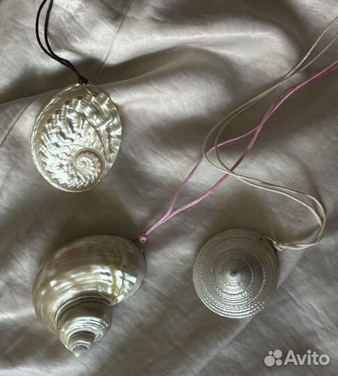 Ракушка трохус конус