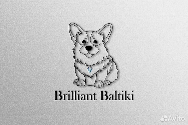 Разработка логотипа,графический дизайн,упаковка