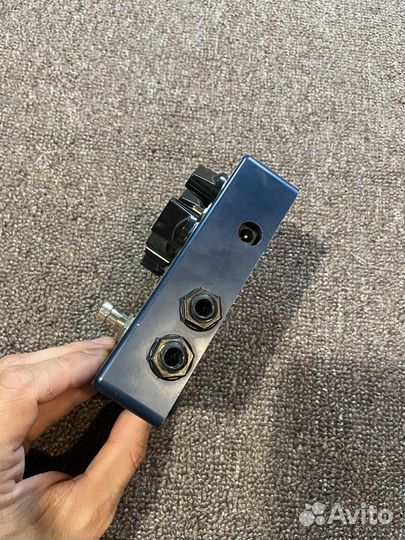 Darkglass alpha omega