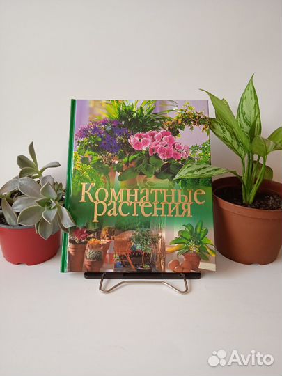 Книга о комнатных растениях