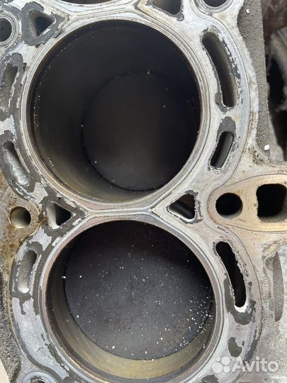 Блок гбц ford focus