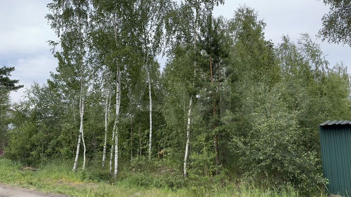 Участок 8,2 сот. (СНТ, ДНП)