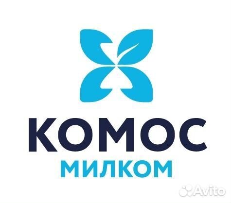 Мерчендайзер